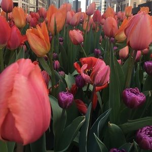 Meet your Posher, Victoria